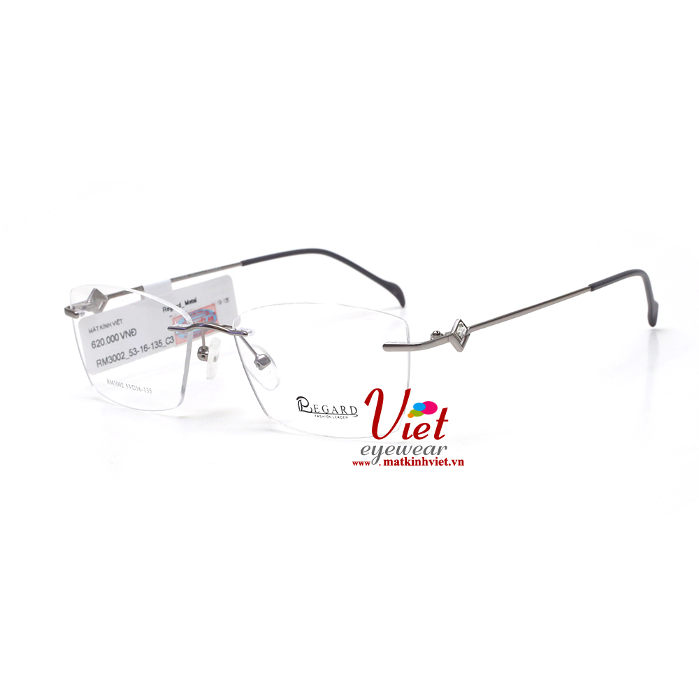 Gọng kính ReGard RM3002 C3